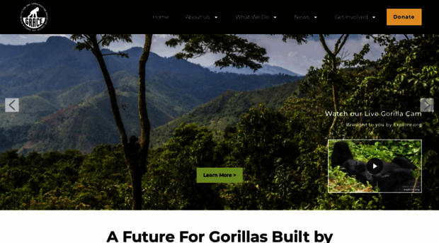 gracegorillas.org