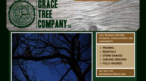 gracetreeco.com