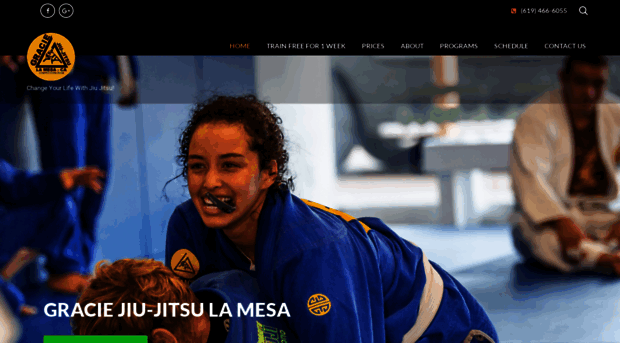 gracielamesajiujitsu.com