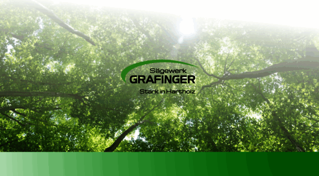 grafinger.co.at