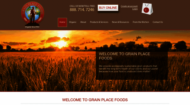 grainplacefoods.com