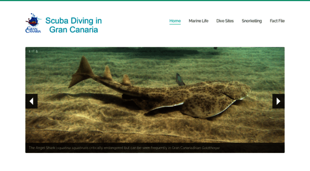 gran-canaria-diving.com