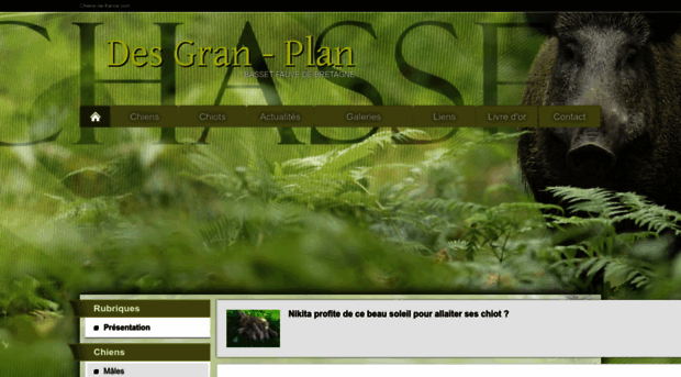 gran-plan.chiens-de-france.com