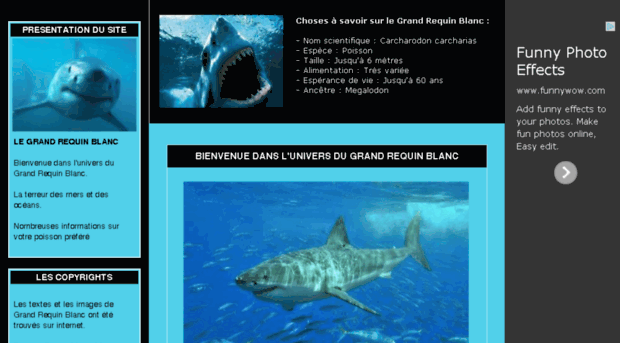 grand-requin-blanc.yatou.net