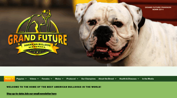 grandfuturekennel.com