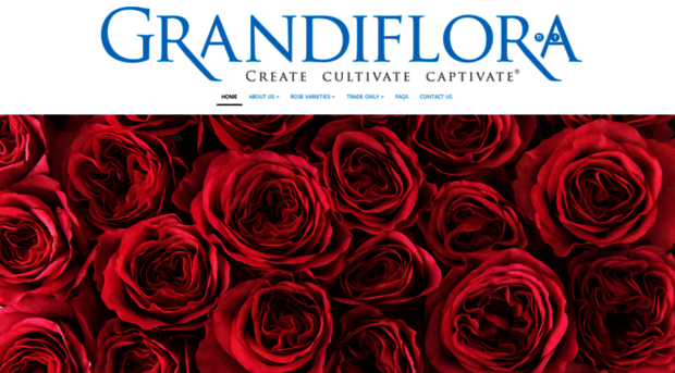 grandiflora.com.au