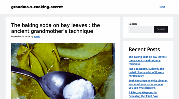 grandma-s-cooking-secret.foodzec.com