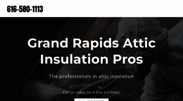 grandrapidsatticinsulation.com