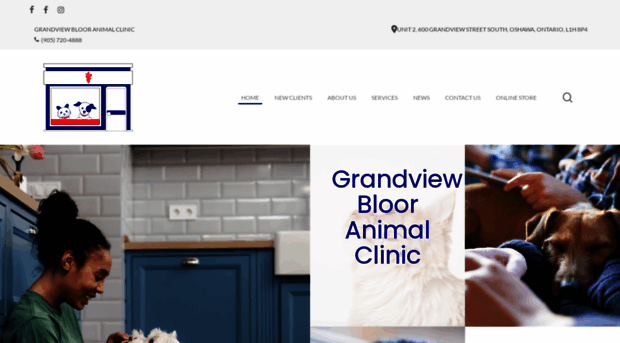 grandviewblooranimalclinic.com