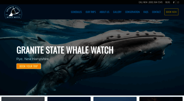 granitestatewhalewatch.com