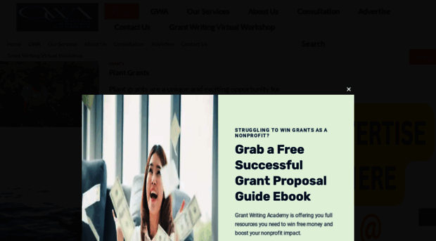 grantwritingacad.org