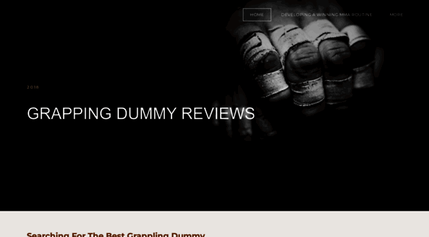 grapplingdummyreviews.weebly.com