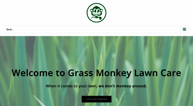 grassmonkeylawncarewichita.com