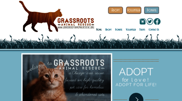 grassrootsanimalrescue.org