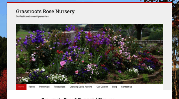 grassrootsroses.co.nz