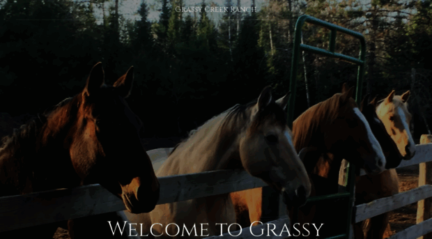 grassycreekranch.com