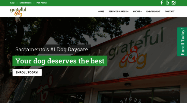 gratefuldogdaycare.com