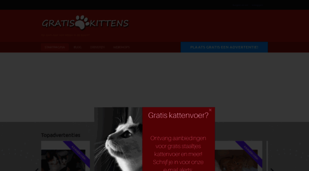 gratiskittens.com