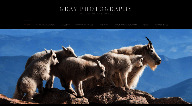 grayphotoonline.com