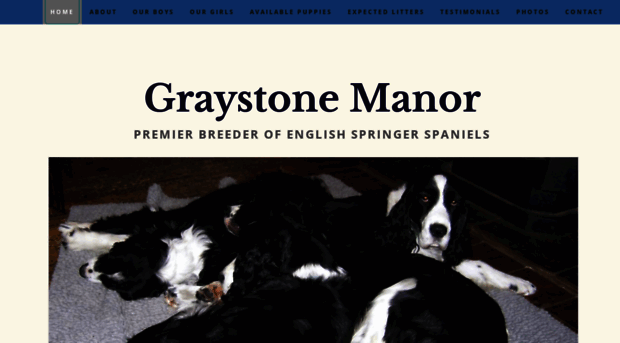 graystone manor english springer spaniels