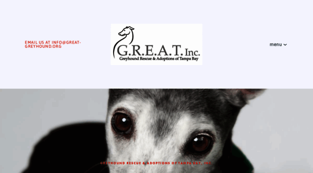 great-greyhound.org