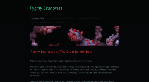 greatbarrierreef-pygmyseahorses.weebly.com