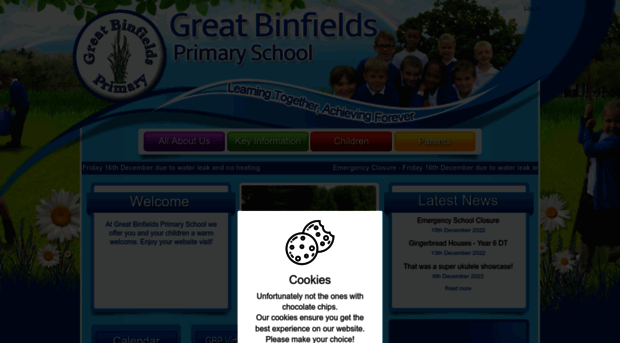 greatbinfields.co.uk