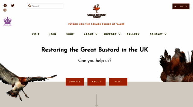 greatbustard.org