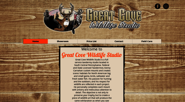 greatcovestudio.com