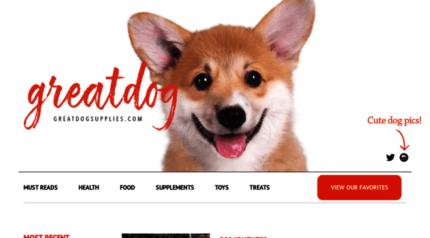 greatdogsupplies.com