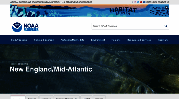 greateratlantic.fisheries.noaa.gov