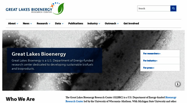 greatlakesbioenergy.org