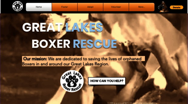 greatlakesboxerrescue.org