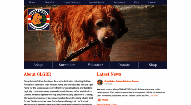 greatlakesgoldens.org