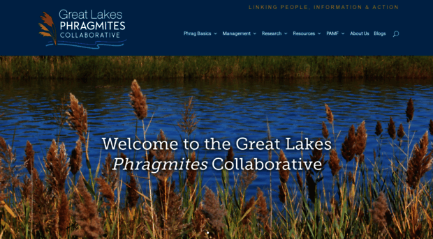 greatlakesphragmites.net