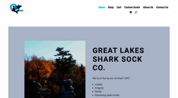 greatlakesshark.com