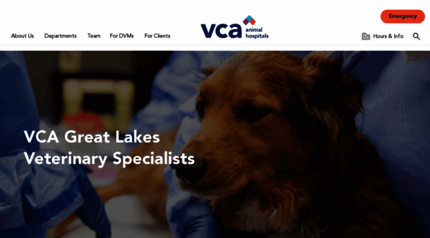 greatlakesvetspec.com