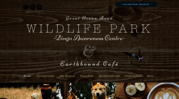 greatoceanroadwildlifepark.com