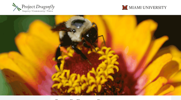 greatpollinatorproject.org