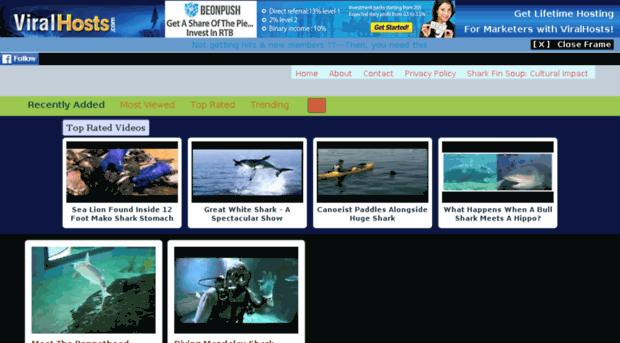 greatsharkvideos.com