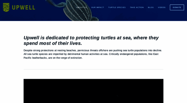 greatturtlerace.com