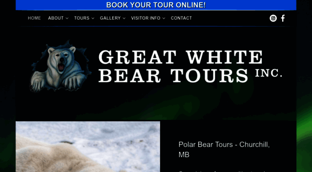 greatwhitebeartours.com