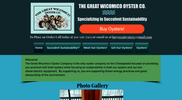 greatwicomicooyster.com