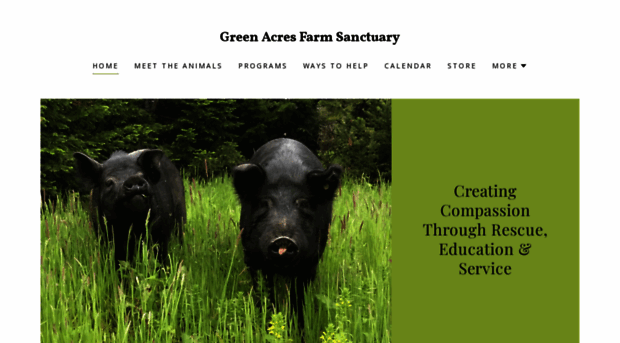 greenacresfarmsanctuary.org