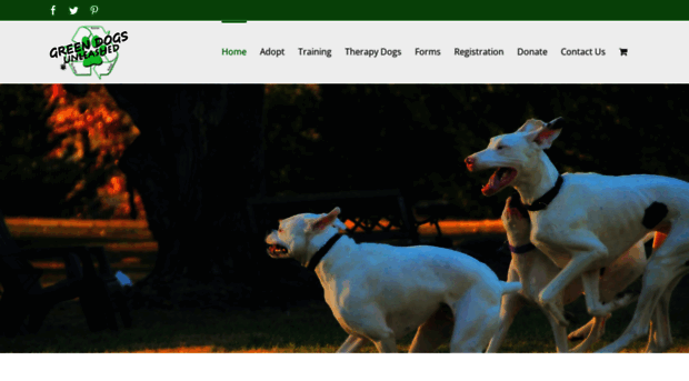 greendogsunleashed.org