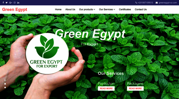 greenegypt-co.com