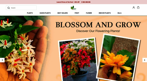 greenerynursery.co.in