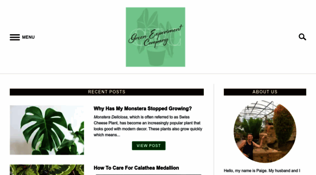 greenexperimentcompany.com