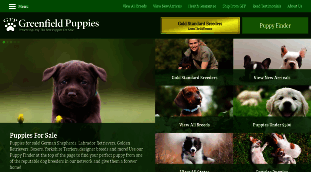 greenfieldpuppies.com