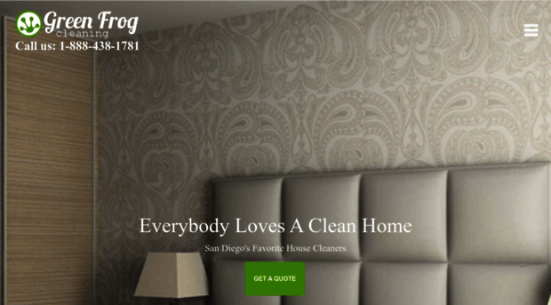 greenfrogcleaning.com